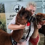 Jerzy Chmielczyk - @jerzychmielczyk - Instagram