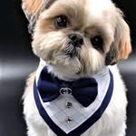 Jerzy Chmielewski - @jerzychmielewski1 - Instagram