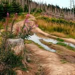 Jerzy Górecki - @j.a.gorecki.nature - Instagram