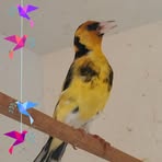Jerzy Janik - Facebook