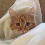 Jerzy Janik - @jery_janik - Instagram