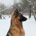 Jerzy Janusz - Facebook