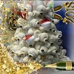 Jerzy Kuczynski - @jerzy.kuczynski55k - Instagram