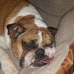 Jerzy Mazur - @jerzy.mazur.731 - Instagram