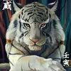 jesal patel - @jesal.patel3 - TikTok