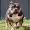 Jesika Jones - @jesika.jones0 - TikTok