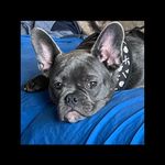 Jess Asher - @jasher114 - Instagram
