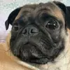 Jess Barrera - @jess_02000 - TikTok