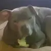jessblevins0 - @jess.blevins8 - TikTok