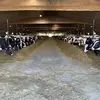 Braun - @jessebraun.com - TikTok