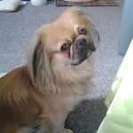 Jess - @jess_braun_ - Instagram