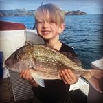 Jess Carpenter - @harrison_indiana - Instagram