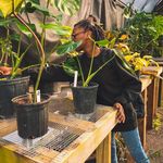 Jess Carpenter - @baberuthsgarden - Instagram