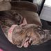 Jessica Carpenter - Facebook