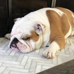 Jess Casper Matri - @jessicacaspermatri - Instagram