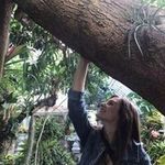 Jess Couchenour - @jess_couchenour - Instagram