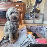 Jessica Folk-Farber - @ffgjess - Instagram