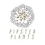 Jess ferguson - @pipsterplants - Instagram