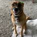 Jess Hatfield - Facebook