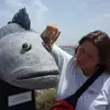 Jess_henry1 - @jess_henry1 - TikTok