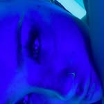 𝖏𝖊𝖟𝖟𝖎𝖊🫐🌴🍋💘🍓🧜🏼‍♀️🐝🫧 - @jessmaebx - Instagram