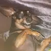 Jess Patterson - @jess.patterson8 - TikTok