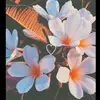 tutorials_2020 - @jess_phelps2008 - TikTok
