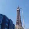 depressed_sing - @jess_royle6 - TikTok