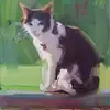 jessroyle706 - @jessroyle706 - TikTok