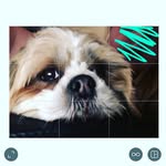Jess Sabin - @doggyacc_xx - Instagram