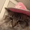 jess.thompsonnn - @jess.thompsonnn - TikTok