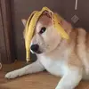 Jess Tucker - @jess.tucker8 - TikTok