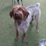 Jessica Walburn - @sir.remington.steele - Instagram