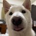 Jess Xu - Facebook