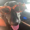 Jess - @jess.yates - TikTok