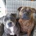 Jess Young - Facebook