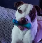 Jesse Abernathy - Facebook