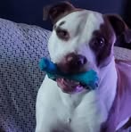 Jesse Abernathy - Facebook