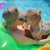 Jesse Agee - Facebook