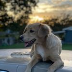 Jesse Aiken - @aiken.jesse - Instagram