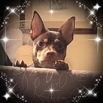 Jesse Lynn Albrecht - @jesseblueeye - Instagram