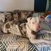 Jesse Allan - Facebook