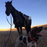 Dogging - @jesse.alsup.1 - Instagram