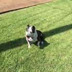 Jesse Applegate - @jesse.applegate - Instagram