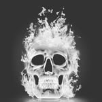 Jesse Araujo Pinto - @jessearaujo360 - Instagram