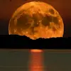 jesse Arce - @jesse.arce6 - TikTok