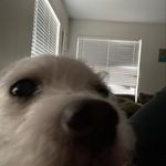 Jesse Archibeque - @jesse_archie2008 - Instagram