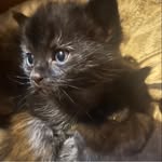 Jessie Archie - @jessiearchie1326 - Instagram