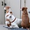 Skylar Jesse Archie - @skylar.jesse.archie - TikTok