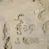 jessearenas341 - @jessearenas341 - TikTok